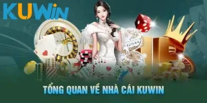 Giới thiệu tổng quan về nhà cái đình đám